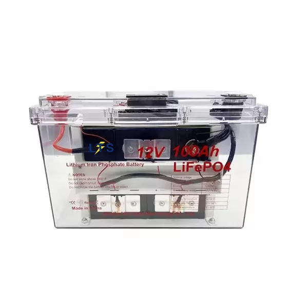 12.8V 100Ah LiFePO4 Battery Clear Case - Front and Internal View