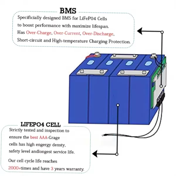 Visualized Quality 100Ah LiFePO4 Battery Internal BMS and Cell Structure