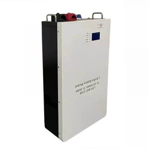 51.2V 100Ah LiFePO4 Battery - 5kWh Wall Mounted Storage by LTS