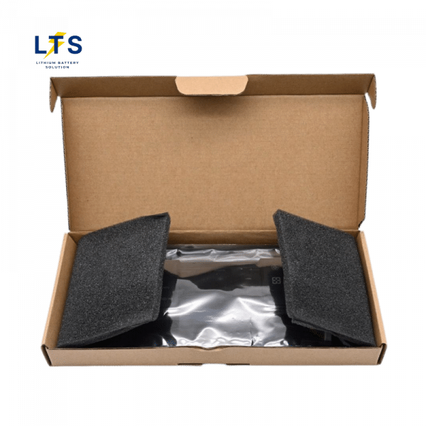 Replacement WW12P battery bulk export kraft box with ESD foam padding